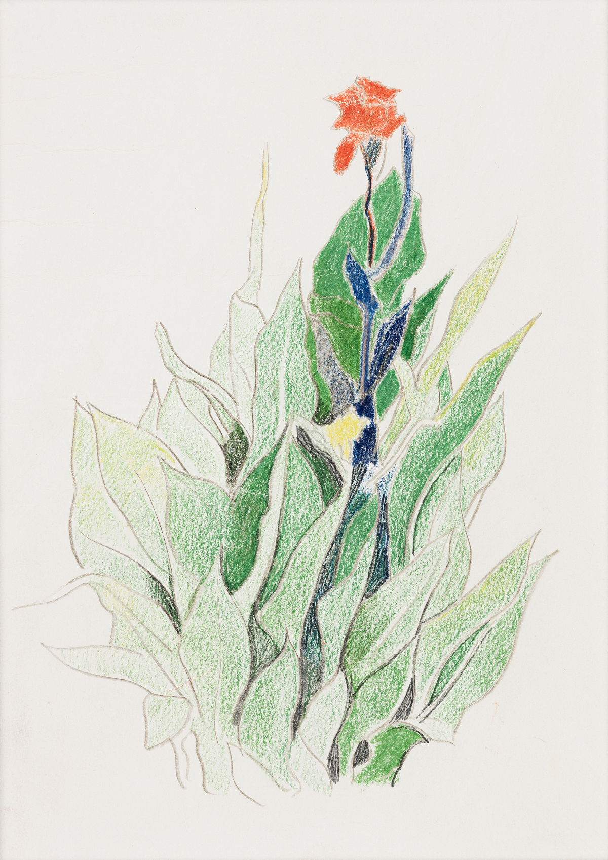 JOSEPH STELLA (1877 - 1946, AMERICAN) Red Canna Among Green Leaves.